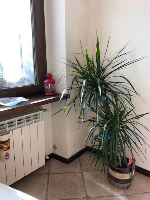 Ca' Cuore In Monferrato Serralunga di Crea Buitenkant foto