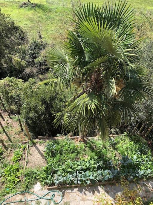 Ca' Cuore In Monferrato Serralunga di Crea Buitenkant foto