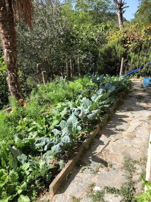 Ca' Cuore In Monferrato Serralunga di Crea Buitenkant foto